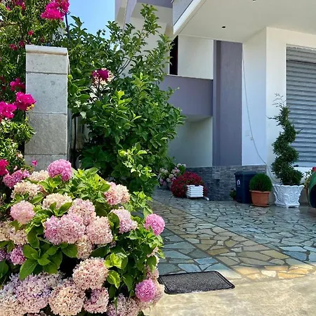 Majola ساراندا